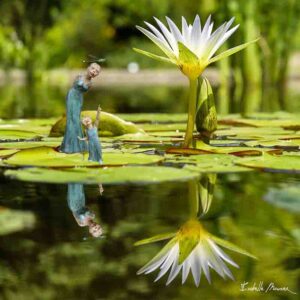 "Regarde la libellule", composition photographique d'Isabelle Mounier à partir de ses œuvres en céramique