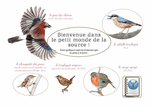 la clé de la source aux oiseaux-fiches pédagogiques